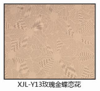 XJL-Y13